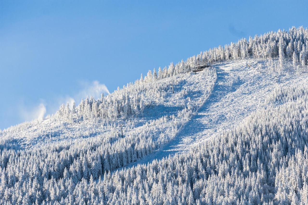 Kosowka Czarna Gora Bed & Breakfast สโตรเนีย ชล็องสเกีย ภายนอก รูปภาพ